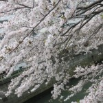 IMG_0764