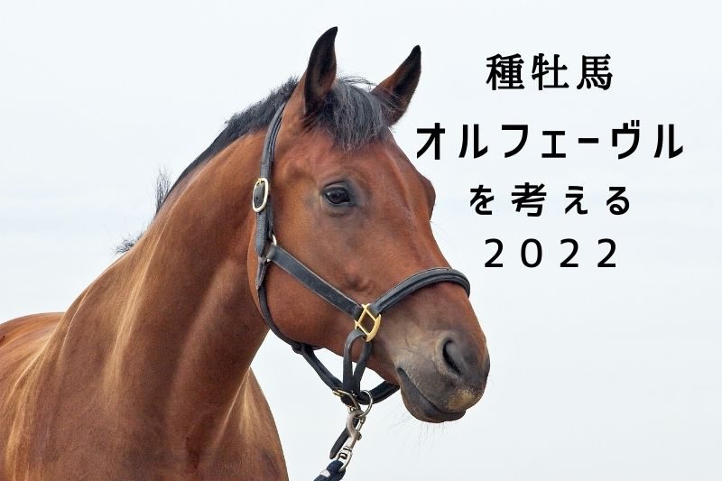 【2022年版】種牡馬オルフェーヴルの産駒傾向を考察 | 節約＆投資 